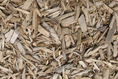 biomass boilers Crampmoor